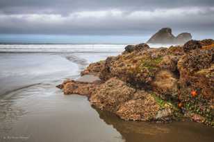 Moonstone Beach-9380